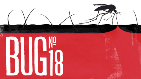 BUG 18